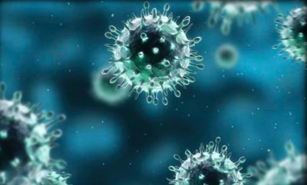 مصر تعلن اكتشاف أول إصابة بفيروس كورونا