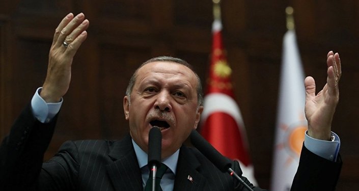 أردوغان يواصل استفزازه للعرب بقرار جديد بشأن سفارة الإمارات بأنقرة