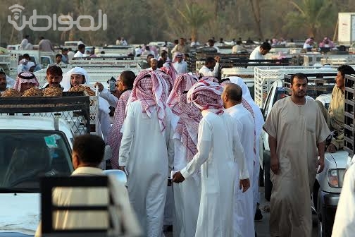 “المواطن” ترصد بالصور عمليات بيع وشراء التمور في “مهرجان بريدة”