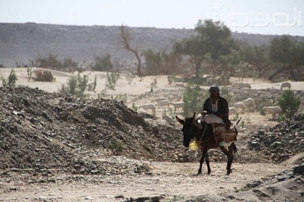 أهالي تربة: شبكات الاتصال والبنية التحتية رديئة وضعيفة