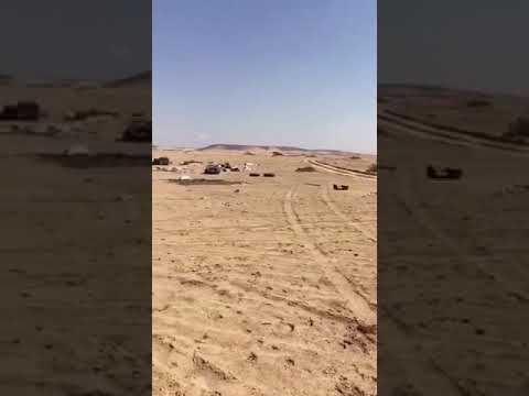 بالفيديو.. مواطن ينقذ جراء صغيرة مربوطة وملقاة في الصحراء