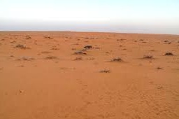وفاة امرأة وطفلين وفقدان طفلين في صحراء #طريف