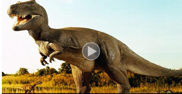 بالفيديو.. تجربة عملية للتعرف على طريقة سير ديناصور السعودية