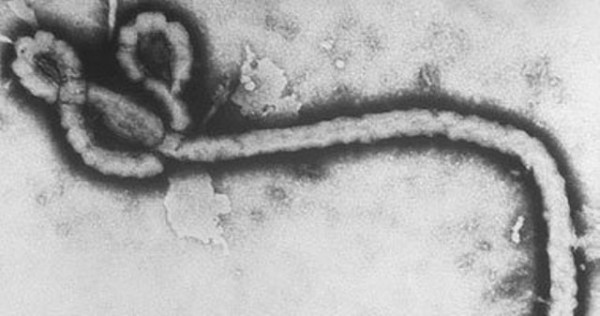 وفاة أول مصاب إيبولا في أمريكا