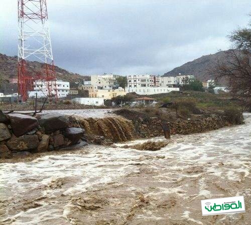 بالصور.. أمطار غزيرة على محافظة الطائف