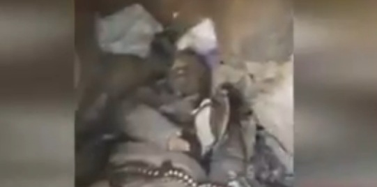 بالفيديو.. الأبطال في اليمن يقتلون حوثياً ثأراً لزملائهم
