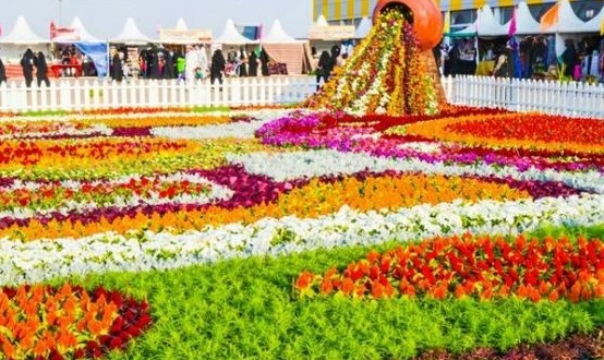 Gang Medaille Dornen مهرجان الورد في الطائف Gen Keiner Mitschwingen