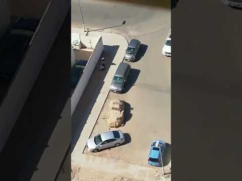 بالفيديو.. عصابة تهشم زجاج السيارات وتسرق محتوياتها بمكة المكرمة