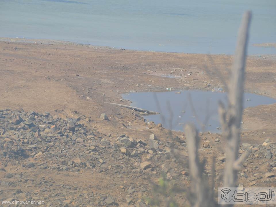 بالصور.. اختلاط مياه الصرف مع بحيرة “العروس” في جدة