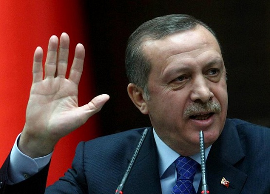 أردوغان: لا يجب على المسلمين تحديد النسل