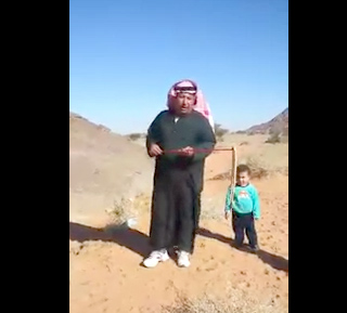 بالفيديو.. مواطن ينجو من حية بفضل عصفور