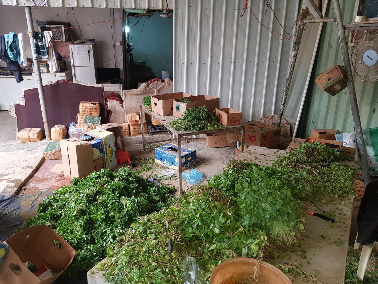 بالصور.. مصادرة 40 كرتون خضروات متعفنة قبل توزيعها في مكة