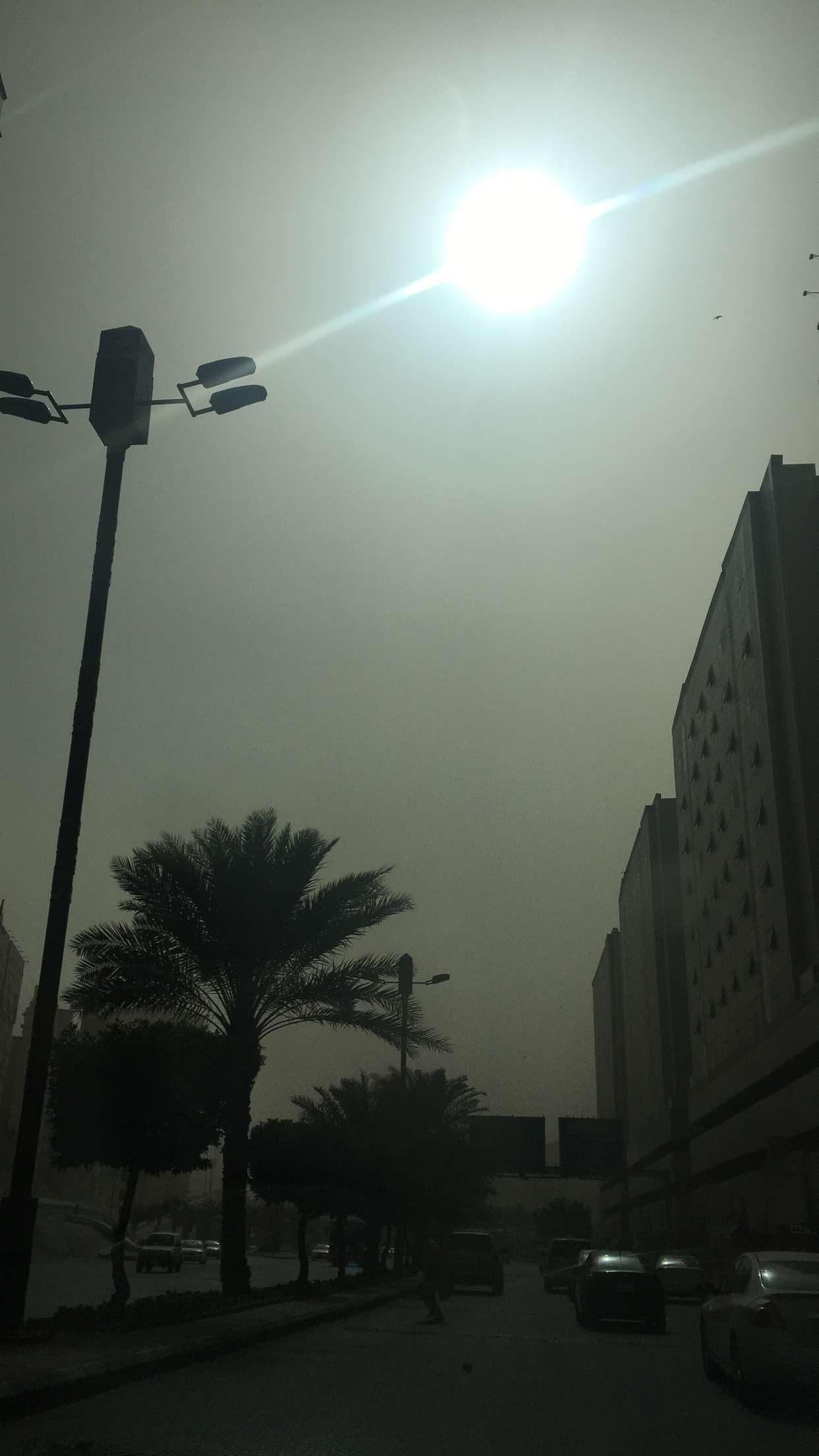 عدسة “المواطن” ترصد موجة غبار مكة المتواصلة