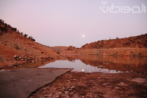 توقعات بزيادة المحصول الزراعي بالطائف بعد هطول الأمطار