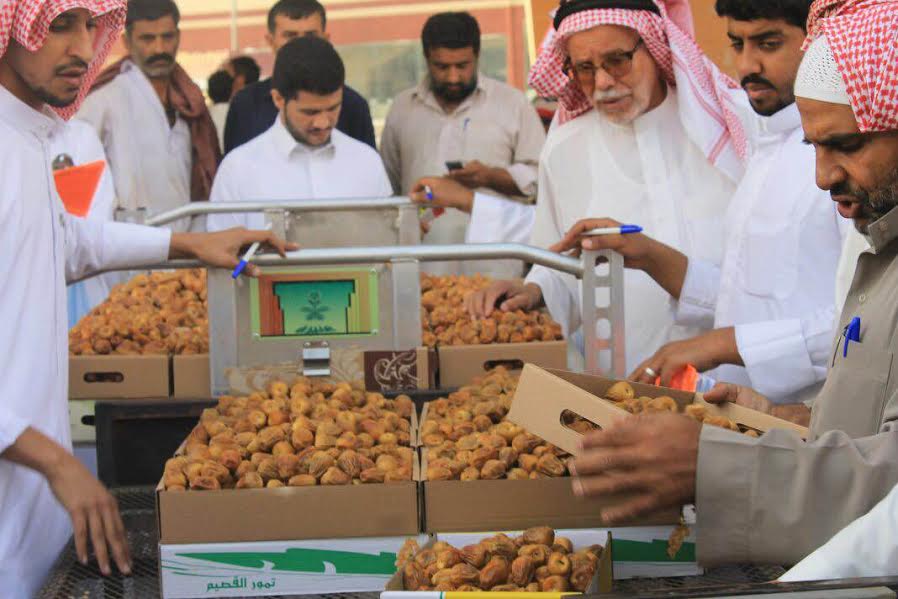 بشعار “تمورنا صحية”.. بلدية عنيزة توفر 3 آلاف عربة لنقل التمور