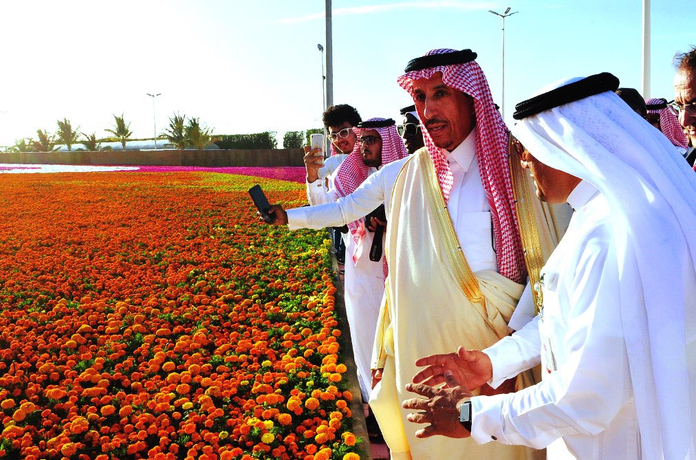 افتتاح المهرجان الـ 11 للزهور والحدائق بينبع