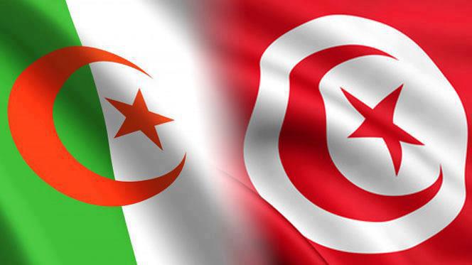 بث مباشر.. مواجهة تونس أمام الجزائر في كأس أفريقيا 2017