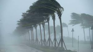 إعلان الطوارئ بولايات فلوريدا وألاباما ومسيسبي الأمريكية بسبب العاصفة ألبرتو