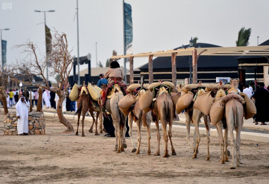 سوق عكاظ .. محطة مهمة في تاريخ المملكة والجزيرة العربية