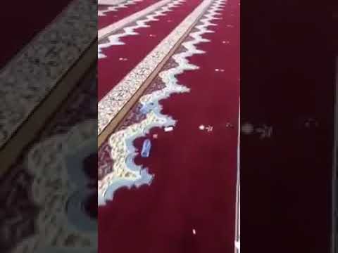 بالفيديو.. مواطن يوثق ما فعلته النساء داخل المسجد في العيد