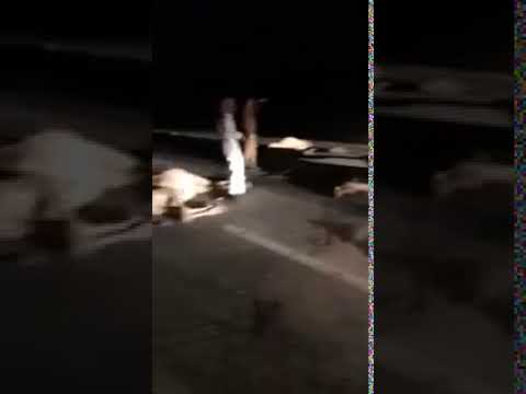 بالفيديو.. مواطن يصطدم بجمال سائبة على طريق رفحاء حائل