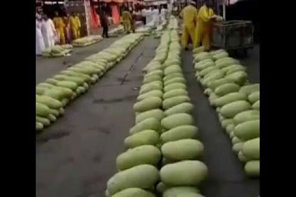 شاهد.. 3 ثمرات بطيخ بريال واحد في سوق جدة!
