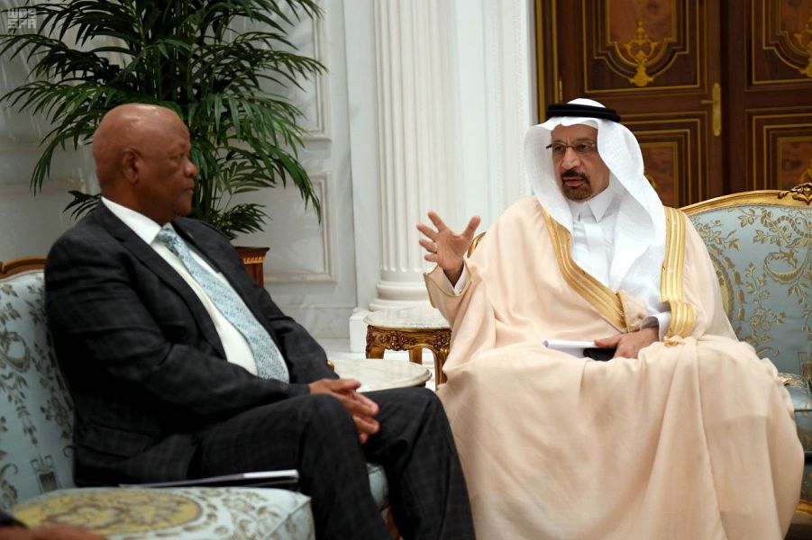 الفالح يبحث مع وزير الطاقة بجنوب إفريقيا آفاق الاستثمار