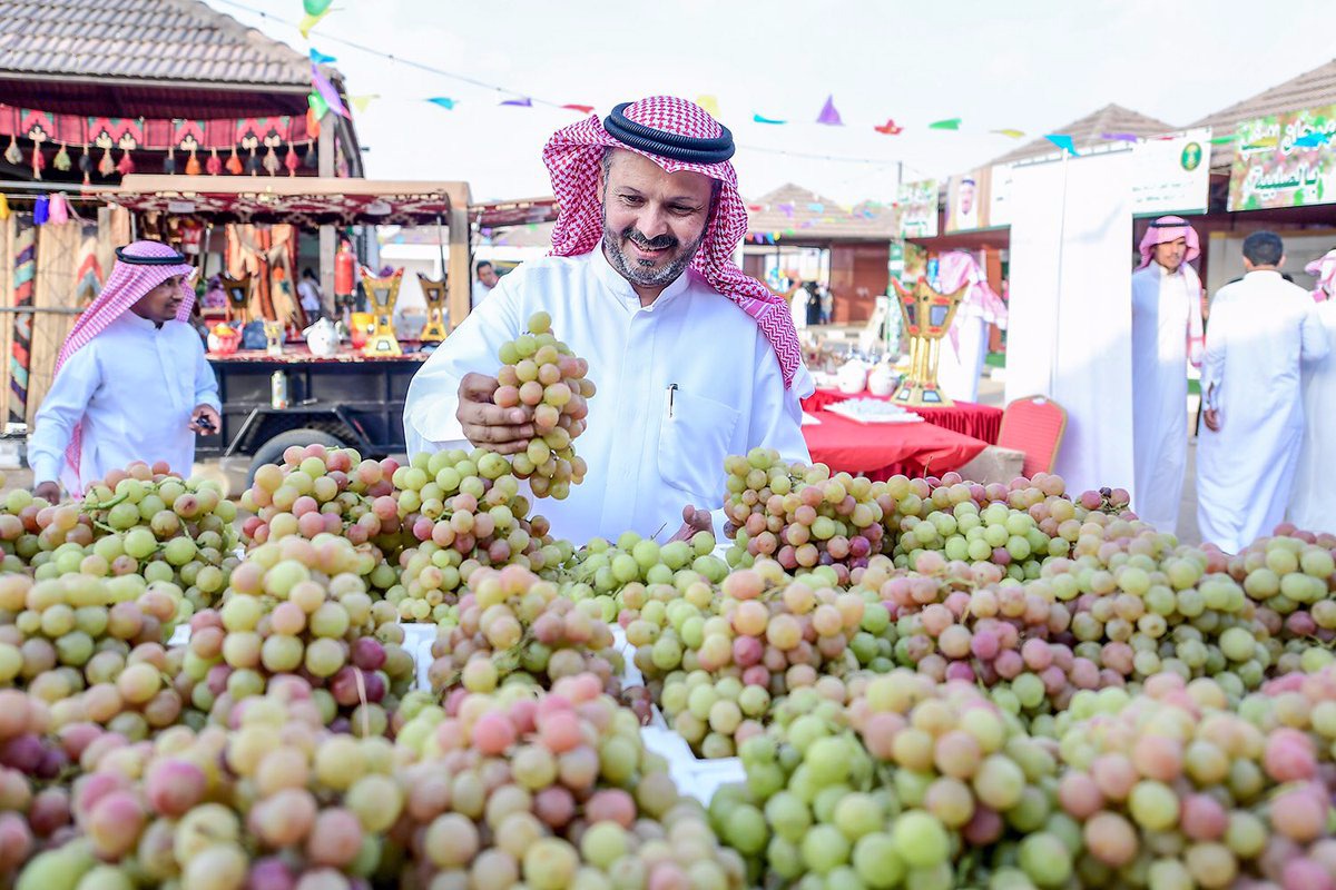 بالصور.. مزارعو العنب بالقصيم يترقبون انطلاق المهرجان لتسويق 200 ألف طن