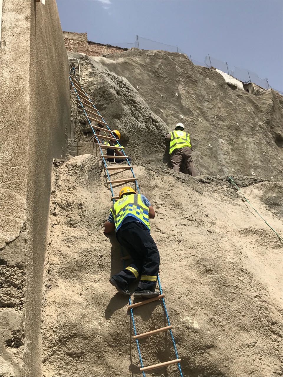 بالصور.. مدني مكة ينقذ ماشية احتجزت في منحدرات صخرية وعرة