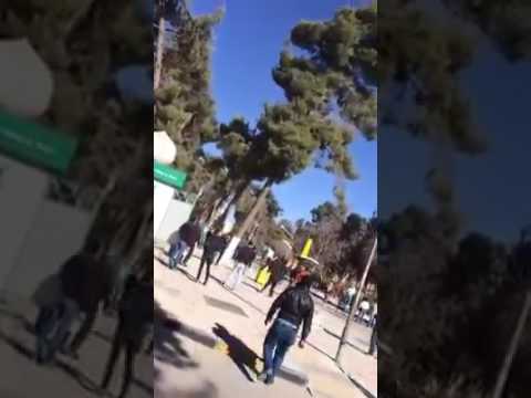 بالفيديو.. طالب يطلق النار على زميله في وضح النهار