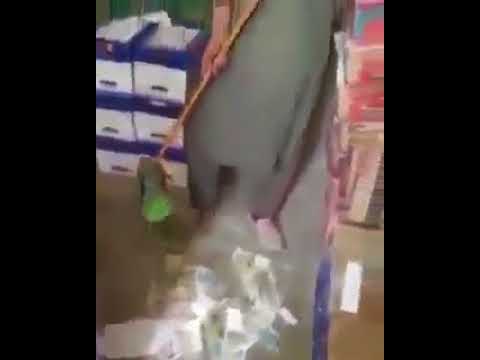 بالفيديو.. إيراني يمسح الأرض بعملة بلاده ويلقيها في سلة القمامة