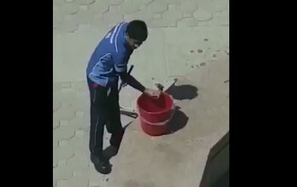 بالفيديو.. عامل نظافة يسقي عصفورًا بيديه تحت لهيب الشمس