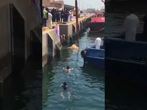 شاهد.. عملية إنقاذ مثيرة لبعير قفز في مياه الخليج بالكويت