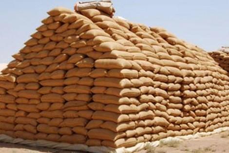التعاقد مع 5 شركات أجنبية لتوريد 625 ألف طن من القمح