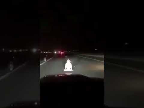 بالفيديو.. خادمة هاربة تتوسط طريق بنجران 
