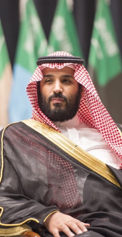 في ذكرى ميلاد محمد بن سلمان أح ن ت لرؤي ت ك الأكوان هامتها صحيفة المواطن الإلكترونية