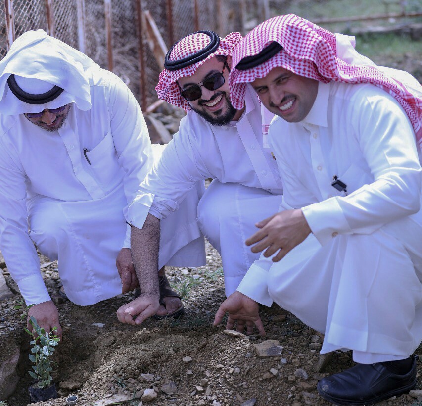 بالصور.. مشاركات الدوائر الحكومية برجال ألمع تُنجح مبادرات زراعة شجرة السدر