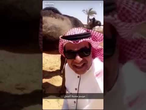 بالفيديو .. والدة الزعاق تصحح له معلومة: الأم أكثر حناناً من الناقة