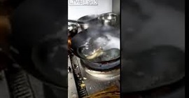 بالفيديو.. مشهد غريب لثعبان قُطع رأسه يتحرك أثناء طهيه
