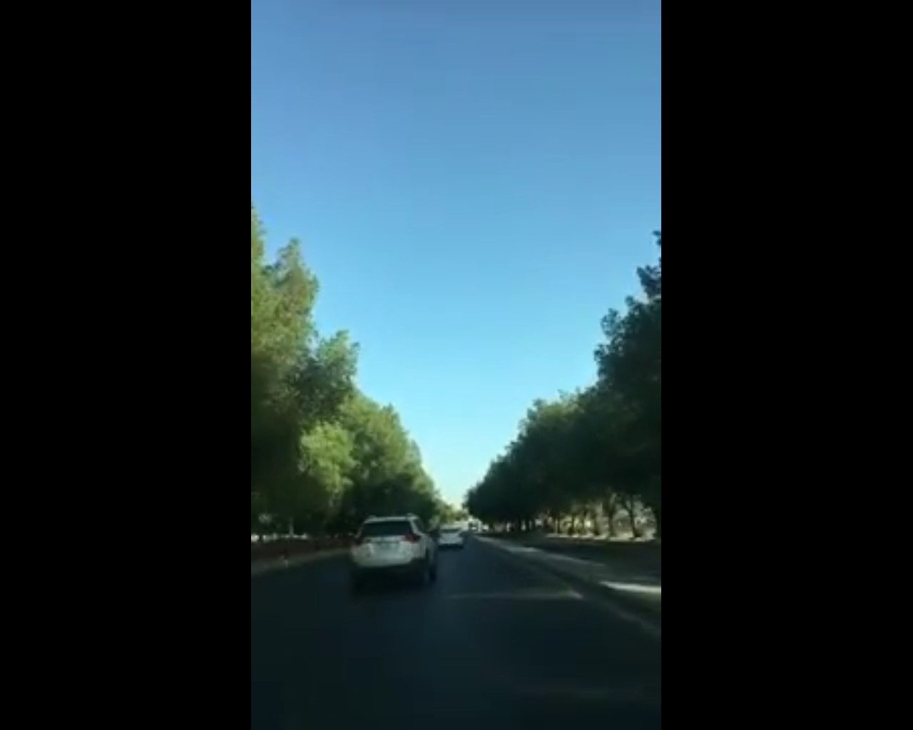 شاهد.. الأشجار تزين أحد شوارع مكة ومطالب بتعميم التجربة