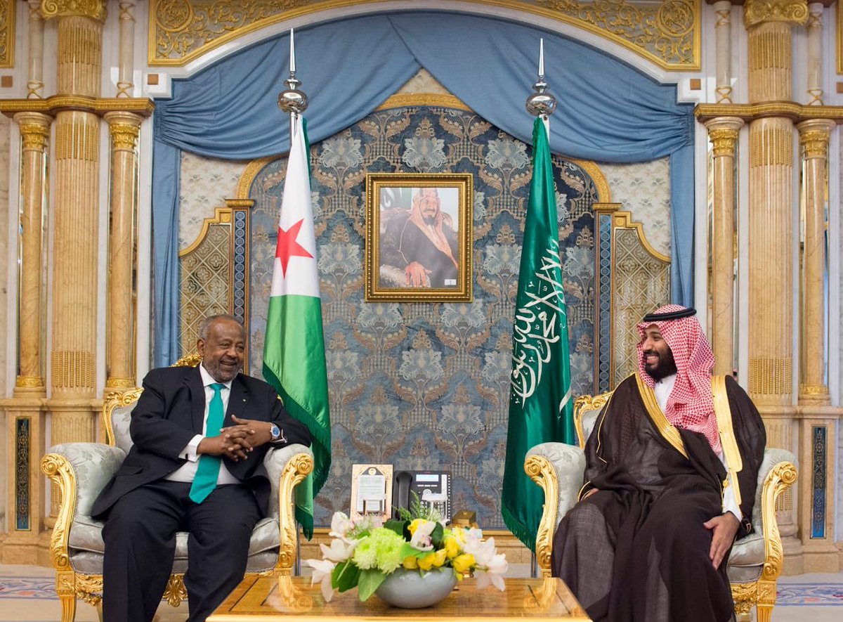 شاهد.. ولي العهد يبحث تطوير العلاقات الثنائية مع رئيس جيبوتي