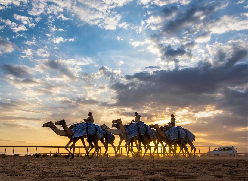 أسماء الفائزين بمسابقة التصوير الفوتوغرافي بمهرجان ولي العهد للهجن