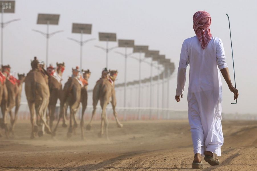 محلل سباقات إماراتي: ميدان الهجن بالطائف ذو بنية تحتية مطورة ومتكاملة