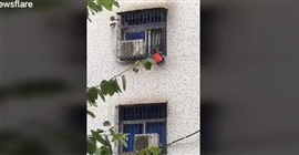 فيديو يحبس الأنفاس.. تسلق واجهة مبنى لإنقاذ طفل