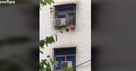 فيديو يحبس الأنفاس.. تسلق واجهة مبنى لإنقاذ طفل