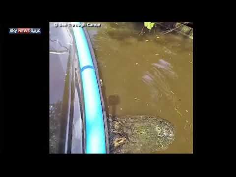 بالفيديو.. وحش مرعب يحمل قارباً داخل بحيرة