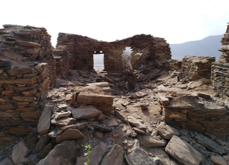 فيديو وصور.. ثعابين قلعة المقيصرة الأثرية تهدد حياة الزوار