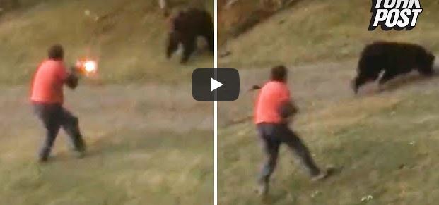 فيديو.. أراد تخويف الدب بطلقة تحذيرية فكانت الفاجعة