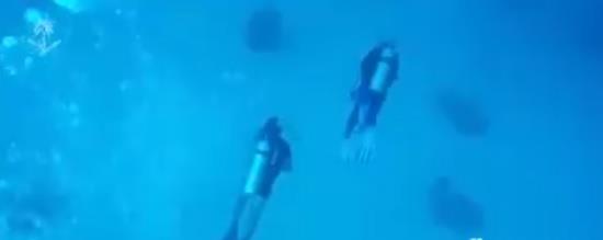 فيديو.. فريق سعودي إيطالي يكشف غموض غرق سفينة قرب سواحل أملج قبل 300 عام