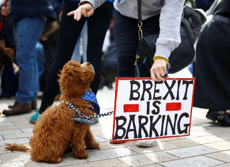 فيديو.. كلاب تتظاهر ضد البريكست في لندن